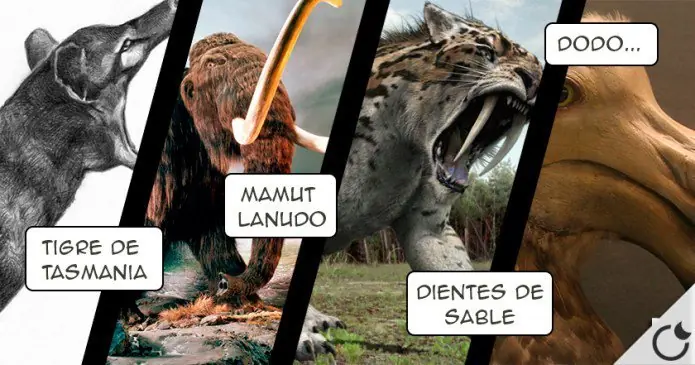 16 Animales extintos que podrían volver a la vida