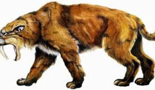 16 Animales extintos que podrían volver a la vida