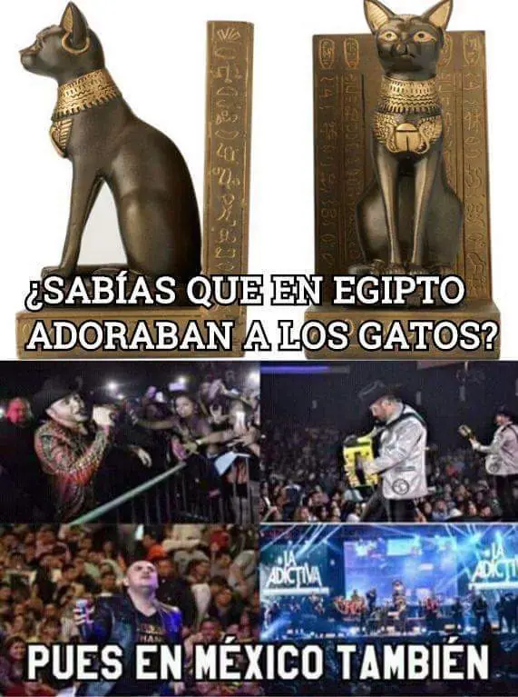 Lo mejor del humor mexicano parte 117