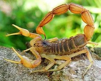 Datos curiosos - Parte 1