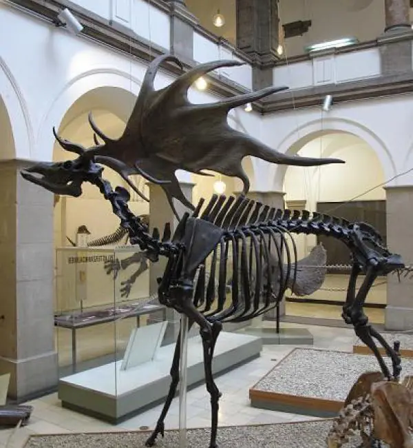 16 Animales extintos que podrían volver a la vida