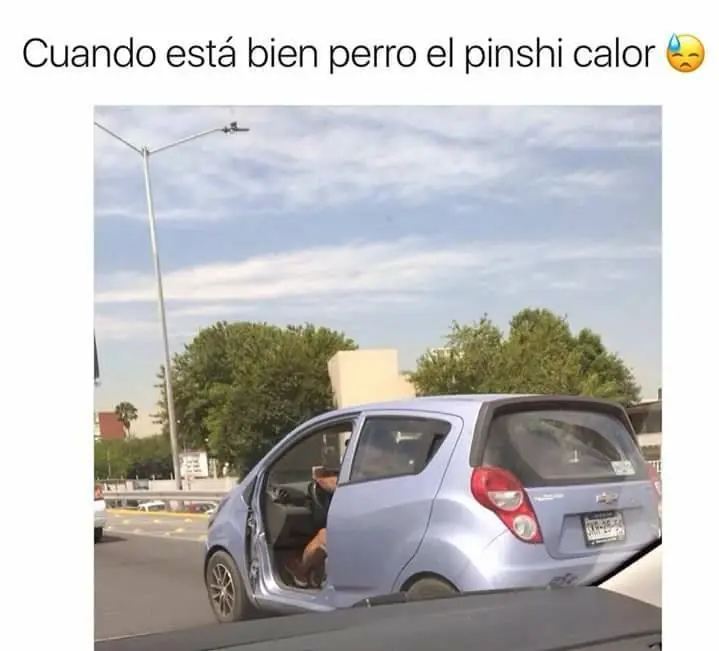 imagenes