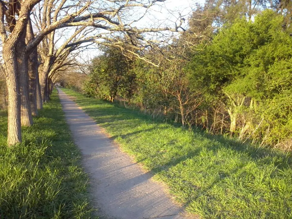 Caminando por mi pueblo (Jauregui)