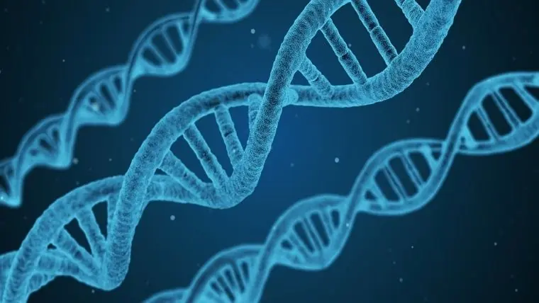 Hallazgo científico podría revertir el envejecimiento