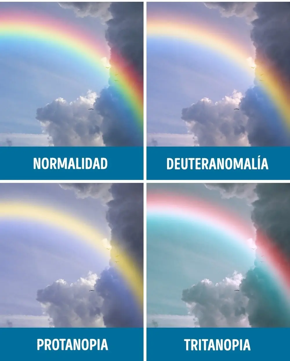 colores colores