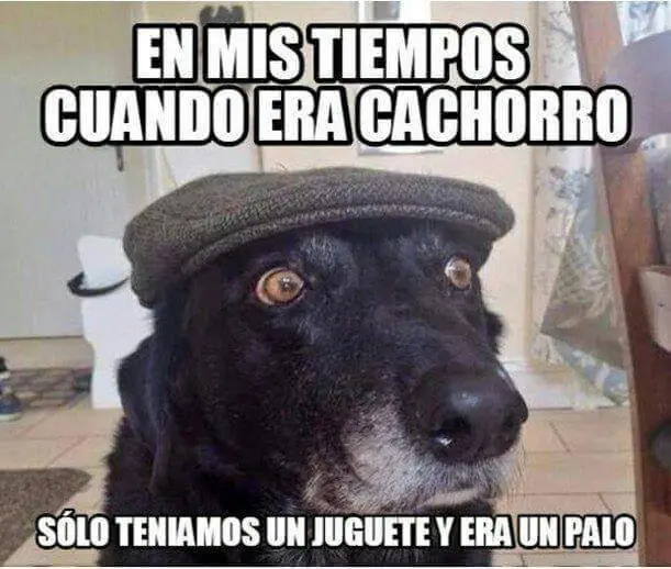 Pero mirate estas imagenes de Humor Papa