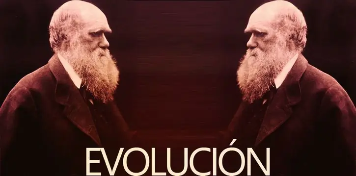evolucion