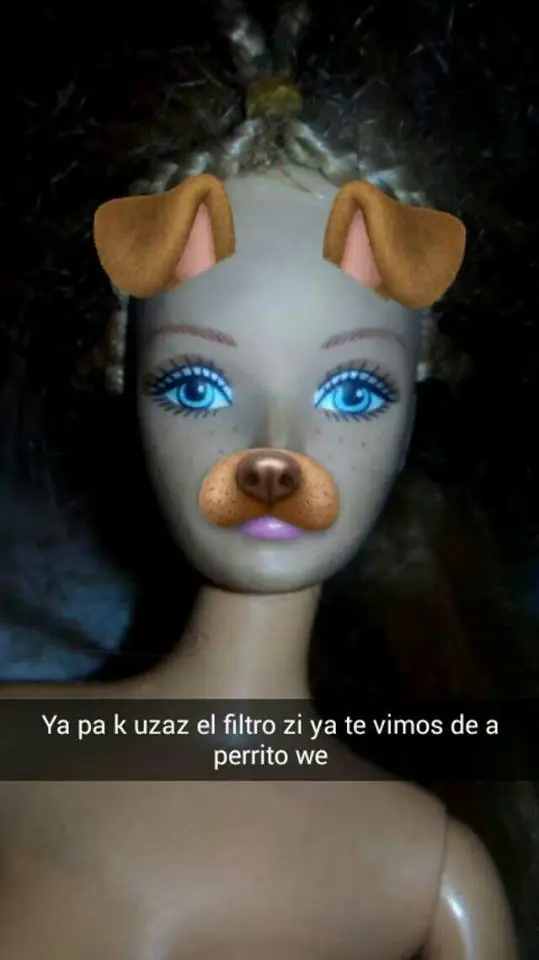 amor