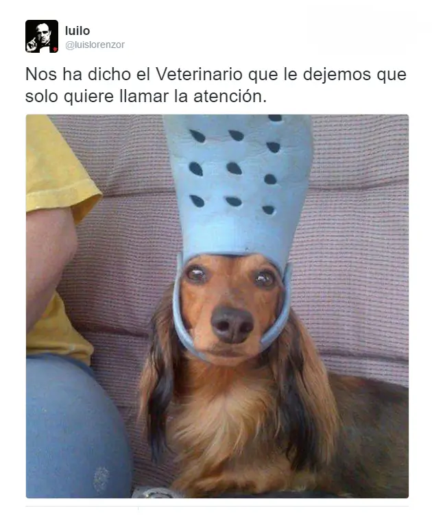 Pero mirate estas imagenes de Humor Papa