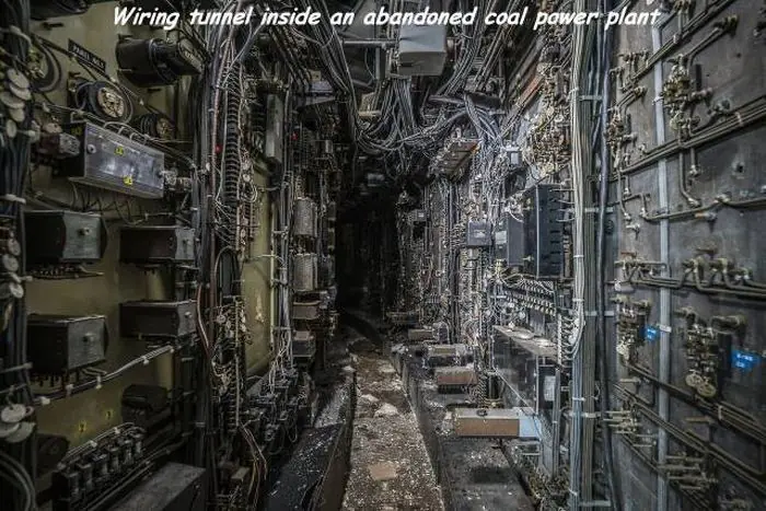 Fotos re locas que tenes que ver. Parte 184