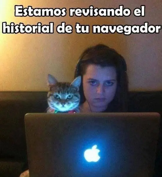 animados