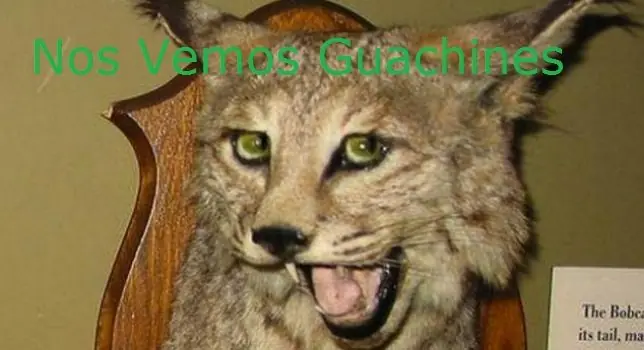 nene