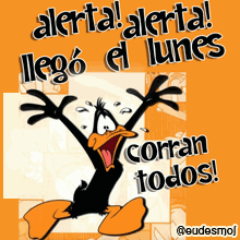 imagenes divertidas