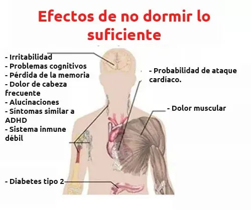 7 Graves efectos de no dormir lo suficiente