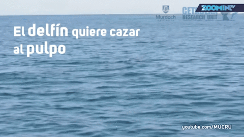 Ahorra tiempo: noticias cientificas semanales en este post!