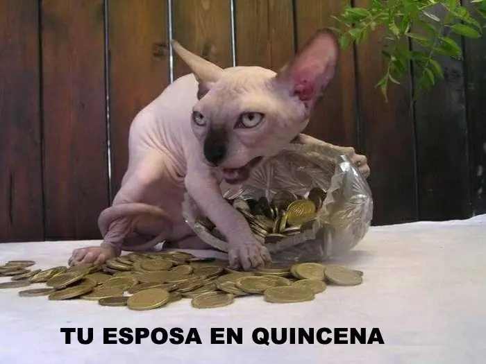 humor de lunes