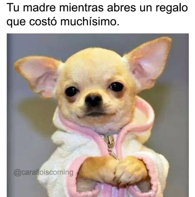 humor