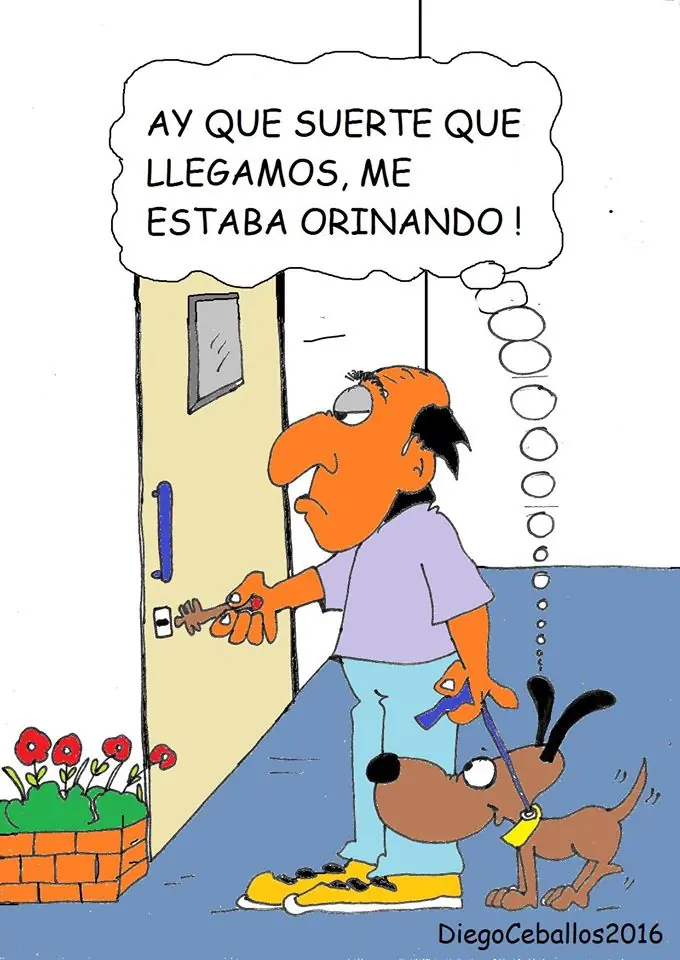 imagenes divertidas