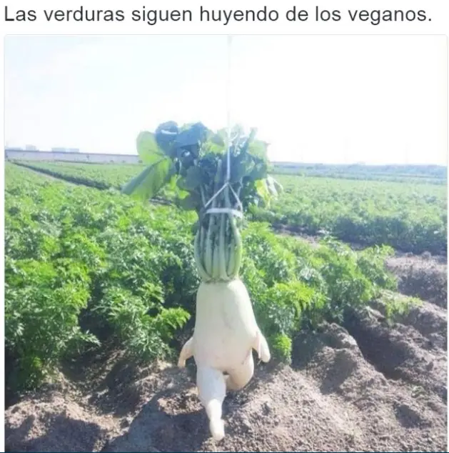imagenes divertidas