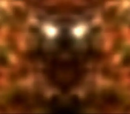 paranormal paranormal