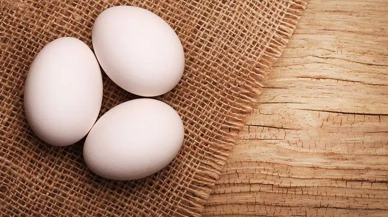 El huevo: mitos y verdades