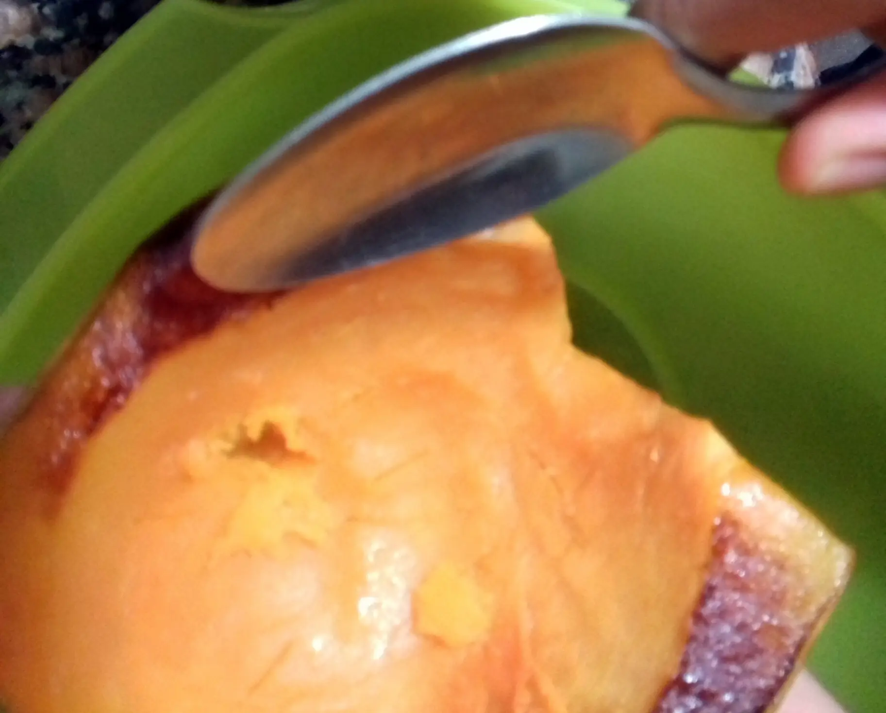 calabaza calabaza