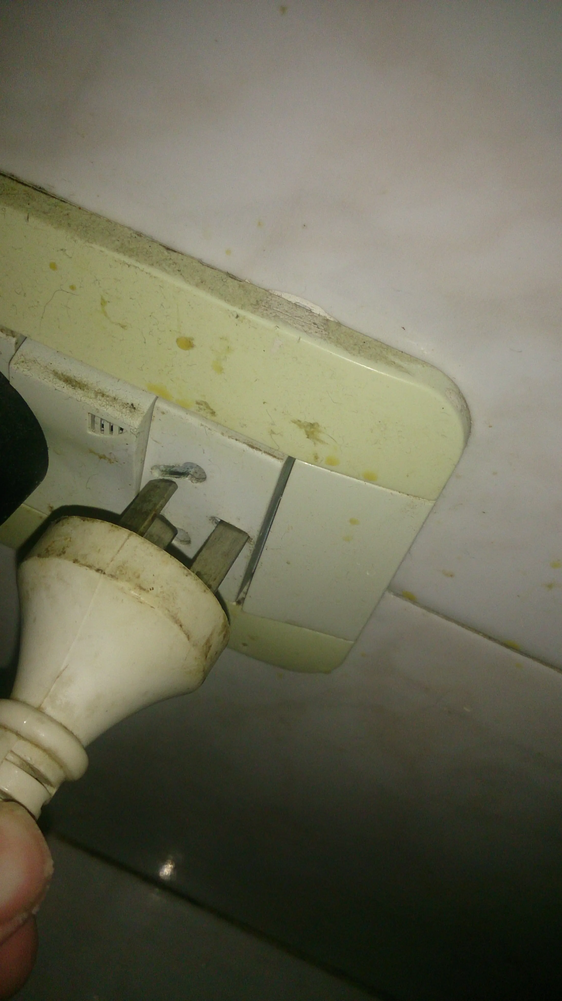 Vení Salame te enseño a hacer tostadas