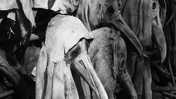 La Peste Negra y la devastación en Europa