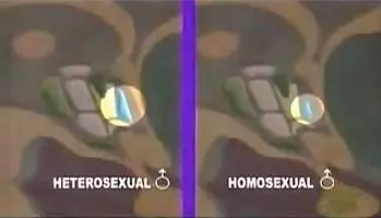 gay