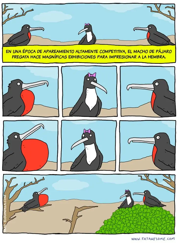Matutino