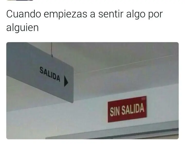Humor WTF Matutino para despertar alegre hoy Martes