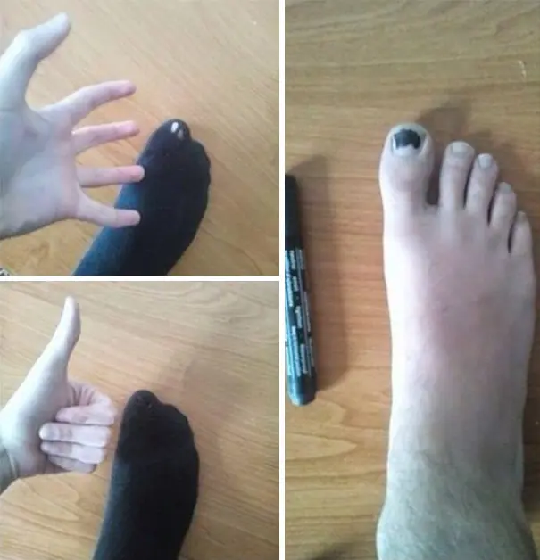 objetos