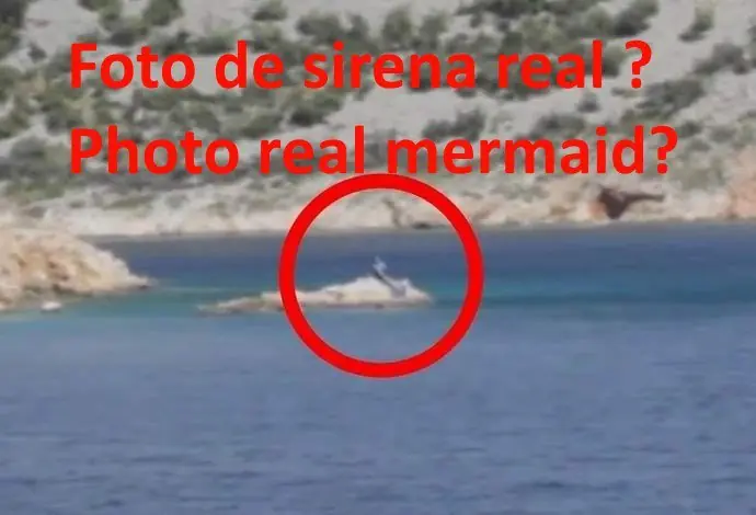 Existen las sirenas son reales ?