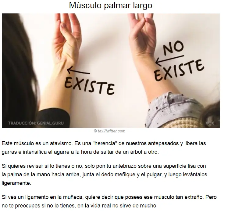 humano humano