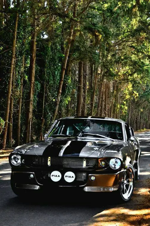 muscle car