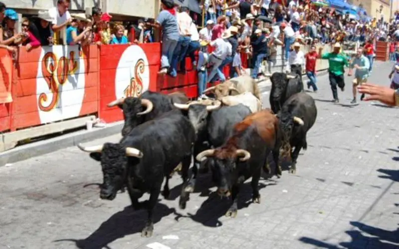 informacion informacion