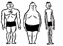 Los tipos somáticos: Ectomorfo, Mesomorfo y Endomorfo
