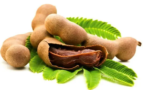 Remedio para la diabetes, pérdida de cabello, el corazón