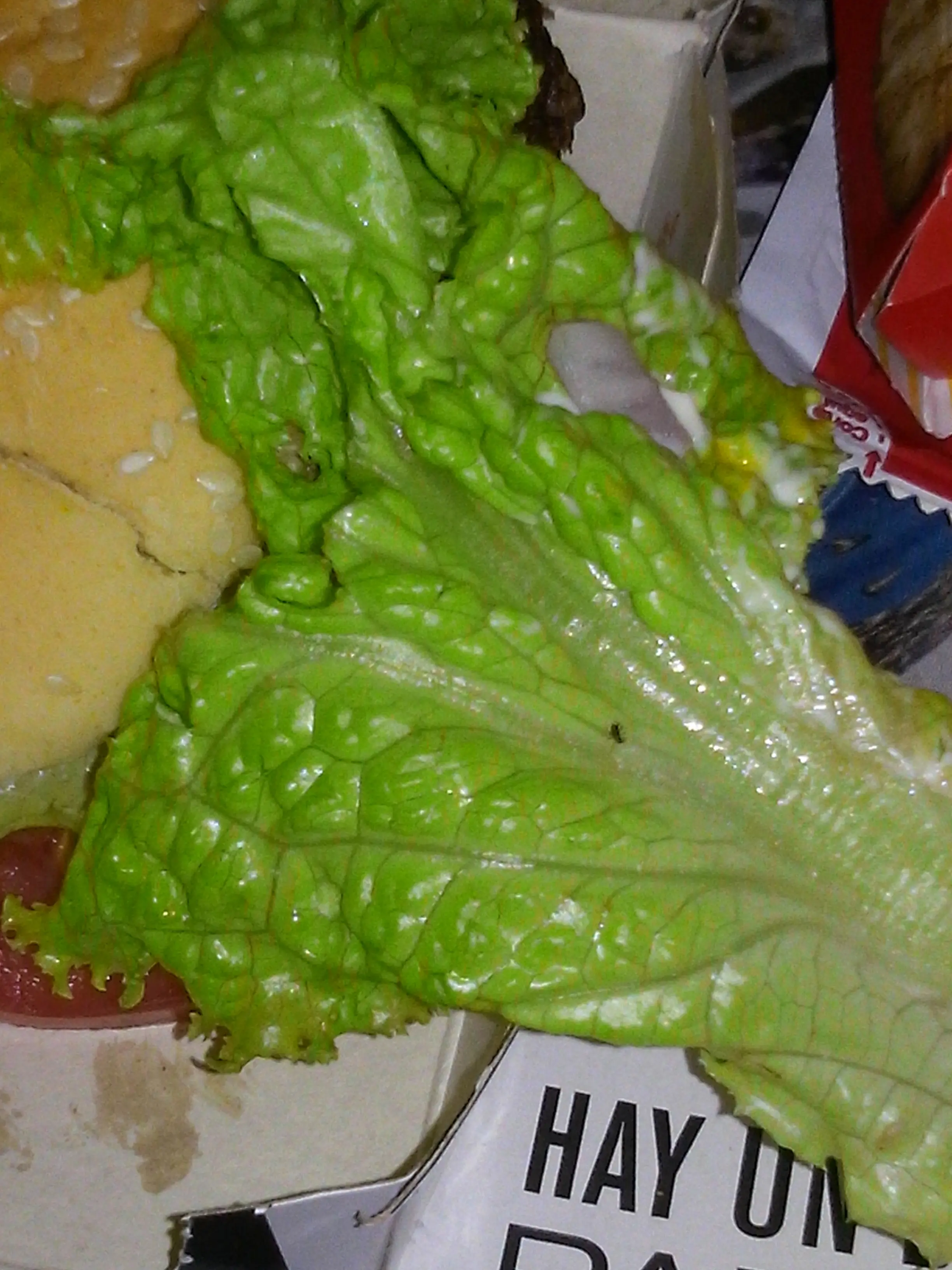 comida