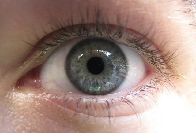 ¿Que Color De Ojos Te Parecen Los Mas Lindos?