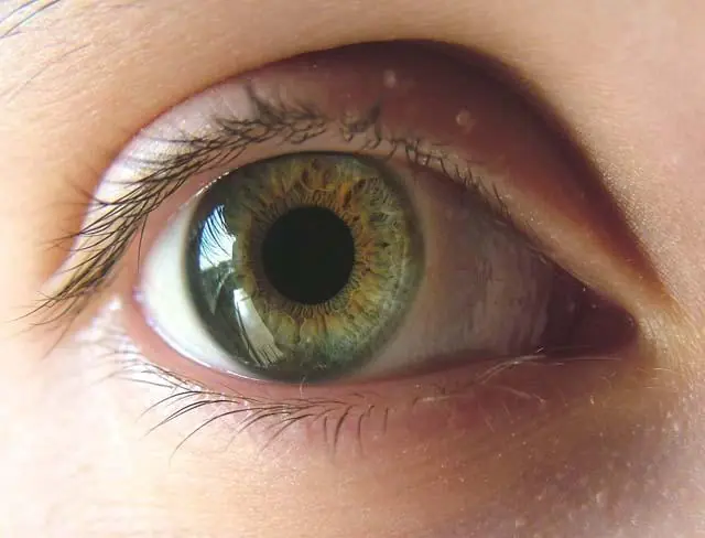 ojos lindos
