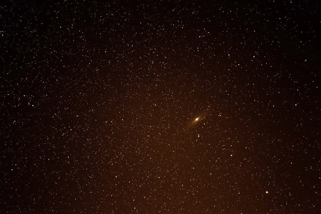 cosmos