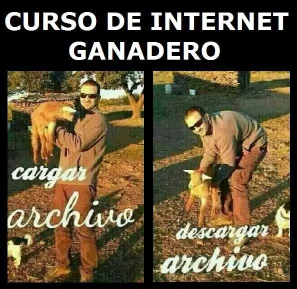 Imagenes graciosas Rufian