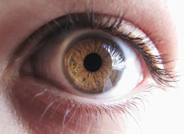 ojos lindos
