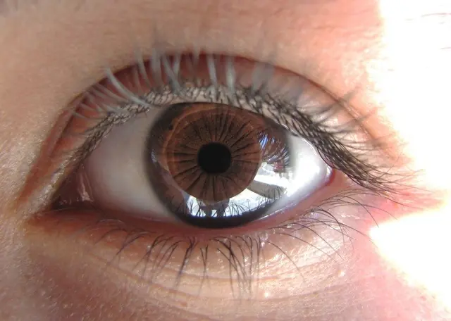 colores de ojos