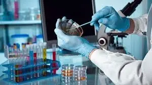 Biotecnologia Biotecnologia