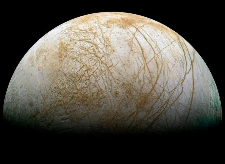 cosmos