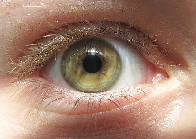 colores de ojos