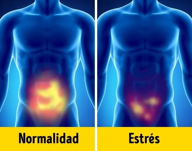 8 Señales de que te urgen vacaciones