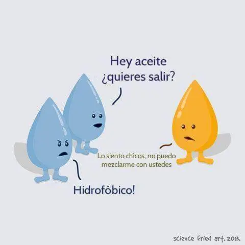 memes